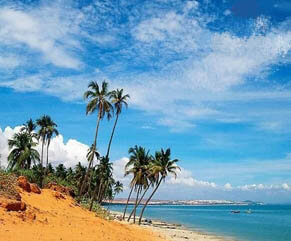 Du lịch Phan Thiết - Hòn Rơm - Tắm Bùn Khoáng - Lâu Đài Rượu Vang từ Sài Gòn